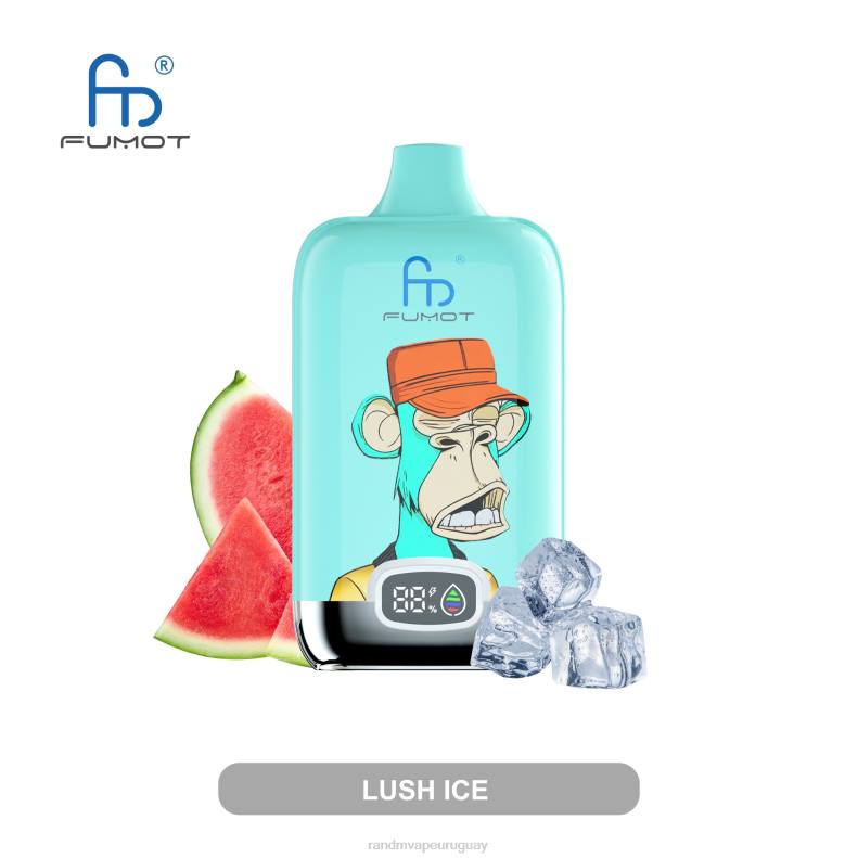 Fumot Original RandM Digital Box Dispositivo de vapeo con pantalla de líquido y batería 12000 hielo exuberante J6Z07 RandM Tornado Vape Shop